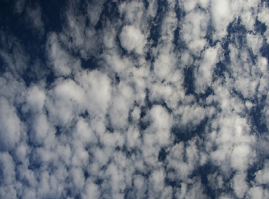 altocumulus