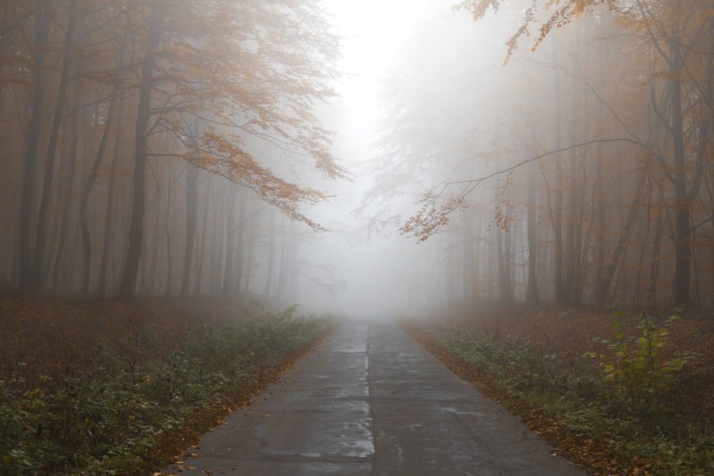 brouillards automne