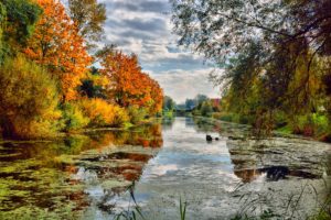 Automnes eau feuilles nuages