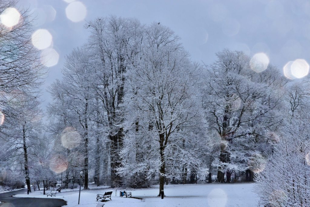 Neige, verglas  Ville de Villejuif