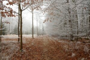 Le froid va-t-il s'inviter sur la Lorraine ?