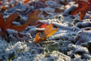 Gelées matinales attendues en Alsace Lorraine.