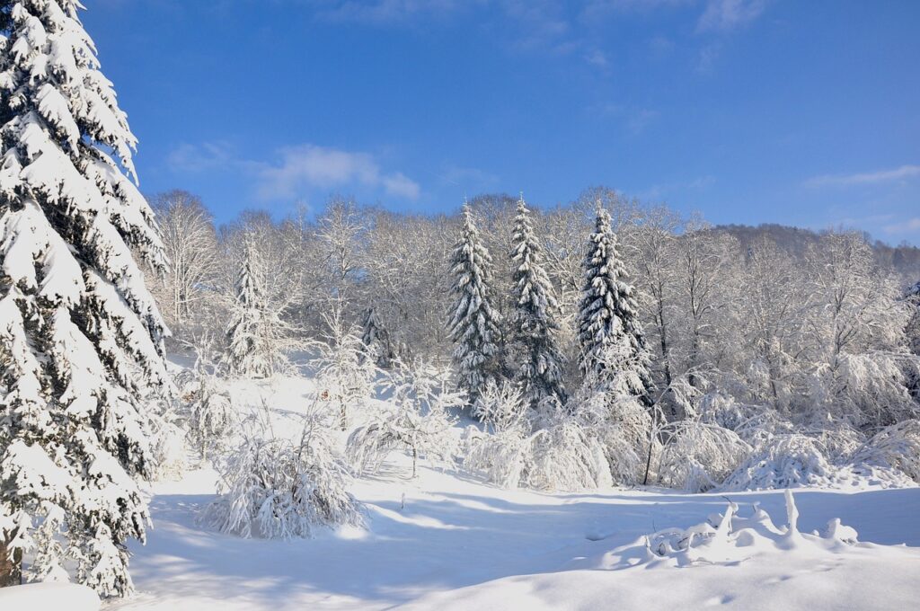 D'importantes chutes de neige sont attendues d'ici ce week-end sur le massif des Vosges.