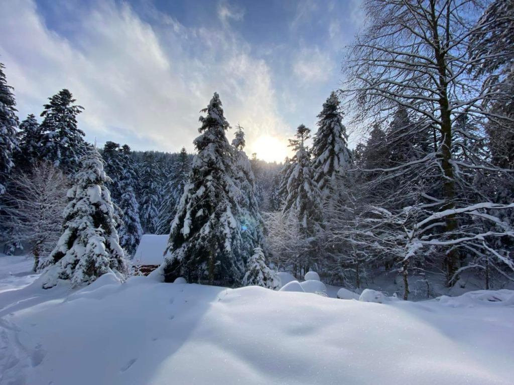 Neige dans les Hautes-Vosges (communes de La Bresse (88), Wildenstein et Metzeral (68)) le 29 novembre (source : Météolor’)