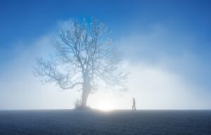 L'hiver revient en Alsace et Lorraine !