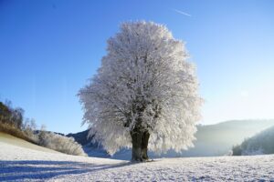 Retour de l'hiver en Lorraine.