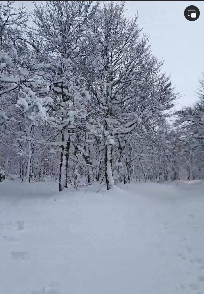 Neige au Trois-Fours (88 - 68) le 20 avril (source : Adeline C.)